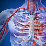 Symptoms and treatment of vascular and arterial occlusion